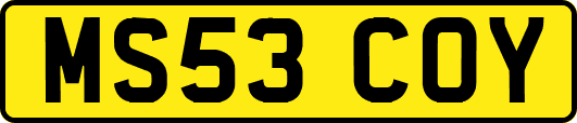 MS53COY