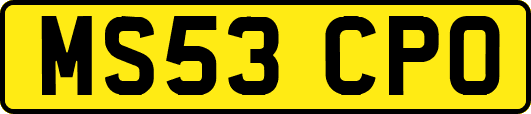MS53CPO
