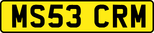 MS53CRM
