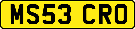 MS53CRO