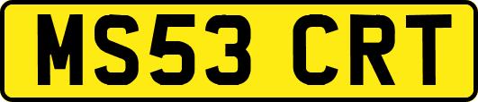 MS53CRT