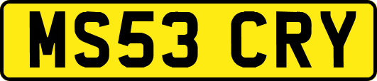 MS53CRY