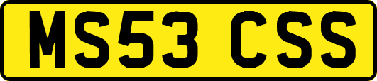 MS53CSS