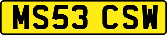 MS53CSW