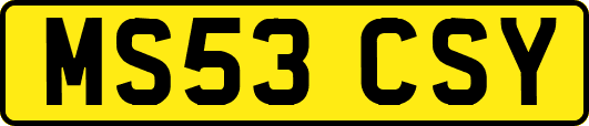 MS53CSY