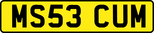 MS53CUM