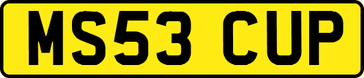 MS53CUP