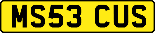 MS53CUS
