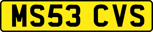 MS53CVS