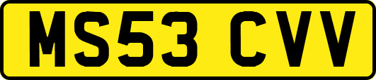 MS53CVV