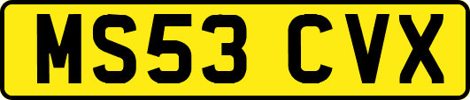 MS53CVX