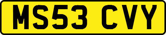 MS53CVY