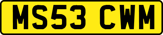 MS53CWM