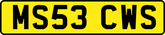 MS53CWS