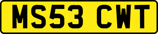MS53CWT