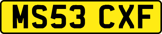 MS53CXF