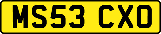 MS53CXO