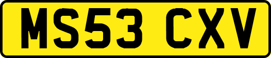 MS53CXV