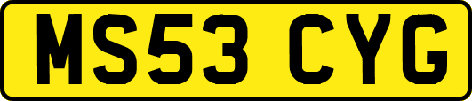 MS53CYG