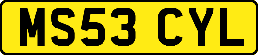 MS53CYL