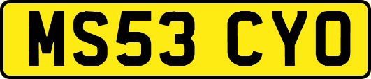 MS53CYO