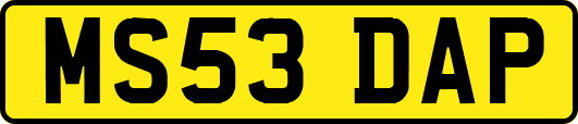 MS53DAP