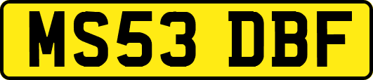 MS53DBF