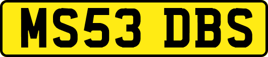 MS53DBS