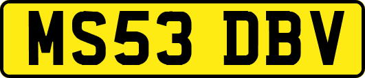 MS53DBV