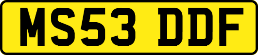 MS53DDF
