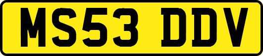 MS53DDV