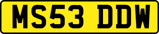 MS53DDW