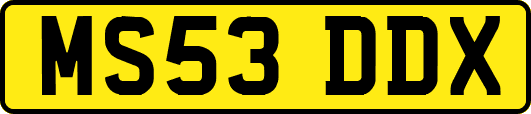 MS53DDX