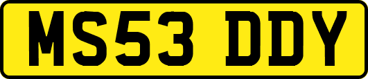 MS53DDY