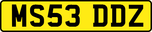 MS53DDZ