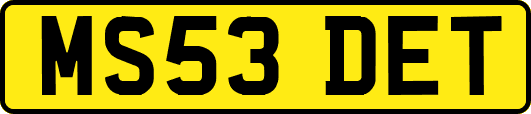MS53DET