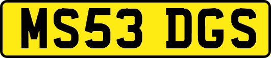MS53DGS