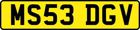 MS53DGV