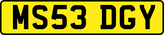 MS53DGY
