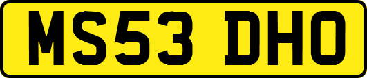 MS53DHO