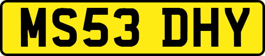 MS53DHY