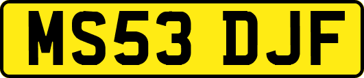 MS53DJF