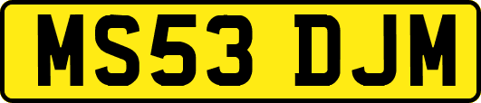 MS53DJM