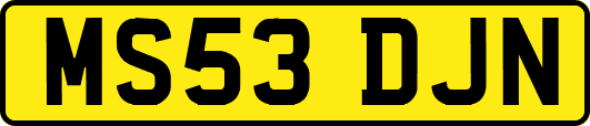 MS53DJN