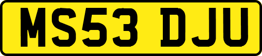 MS53DJU