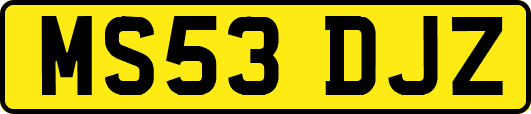MS53DJZ