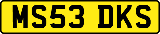 MS53DKS