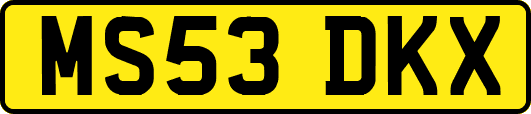 MS53DKX