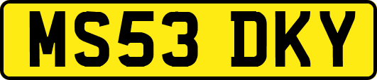 MS53DKY