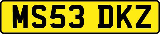 MS53DKZ